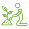 Lawn Overseeding