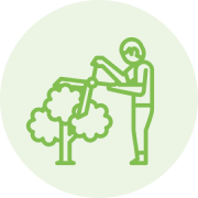 Services - Landscaping Maintenance