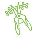 Shurb Trimming & Pruning