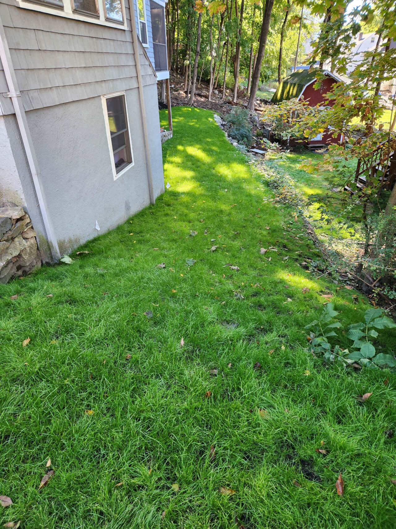 edmund lawn after