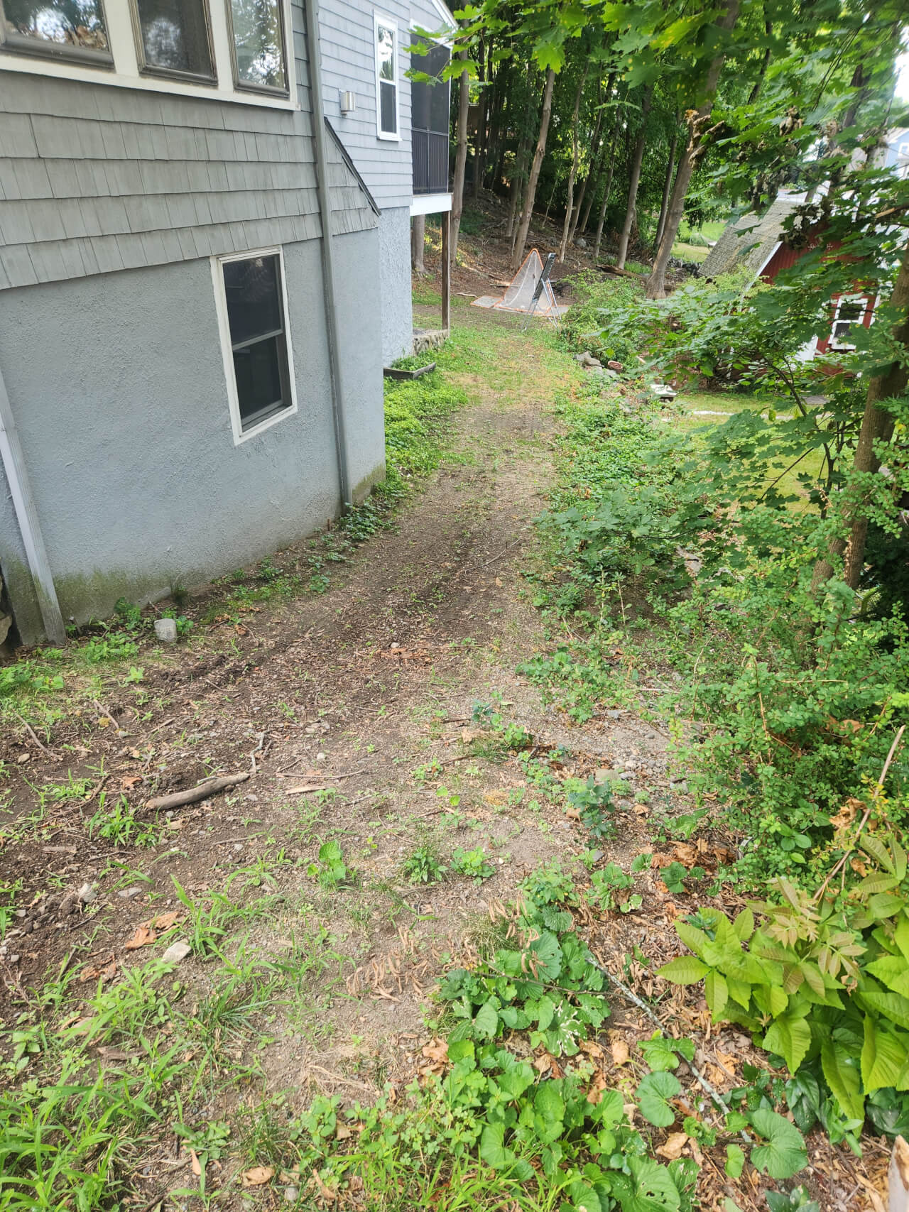 edmund lawn before